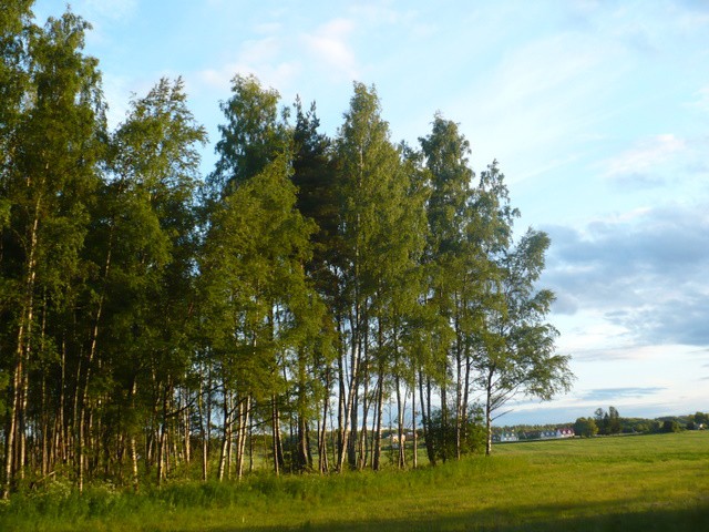 03.03.2010 21:51:52