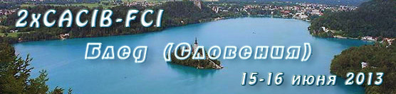 bled2013.jpg