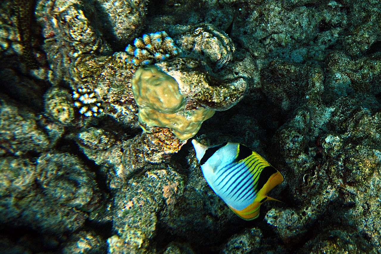 05.03.2010 14:51:48