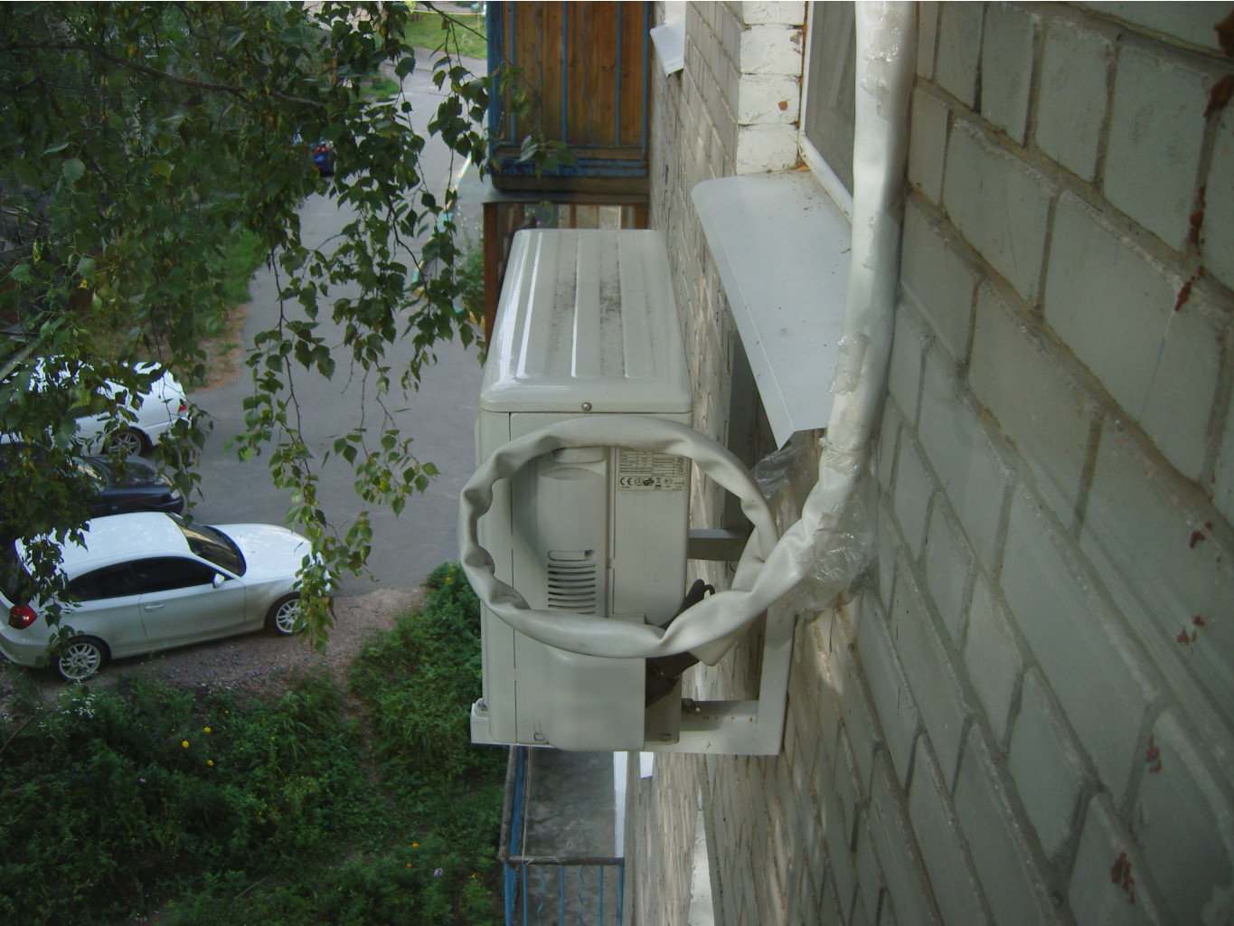SNV83182.JPG