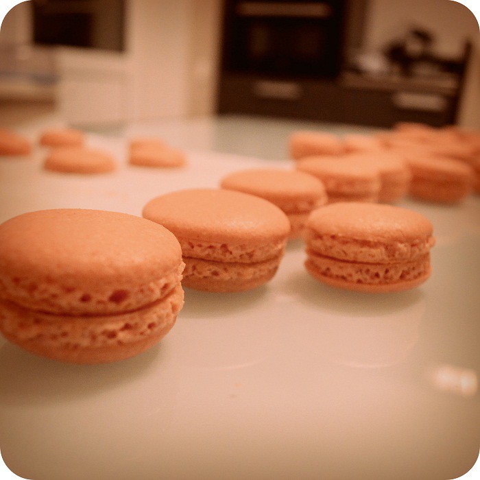 macarons1.jpg