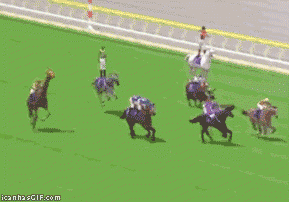 funny-gif-Japan-horse-race-1.gif