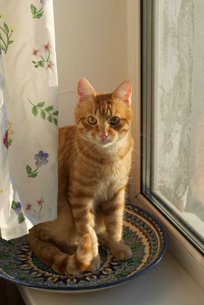 DSC_7153.jpg