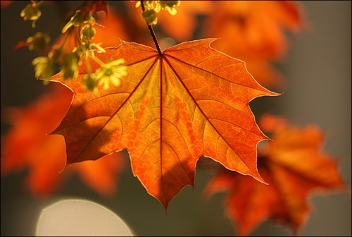 0_29d07_49e59269_L.jpg