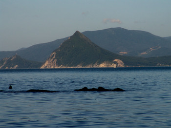 DSC08911.JPG