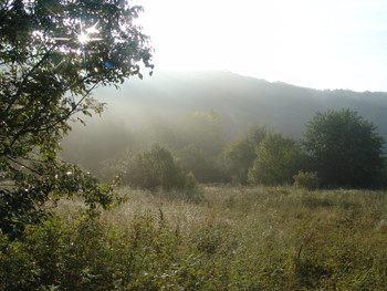 DSC09276.JPG