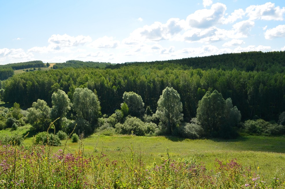 DSC_0936.JPG