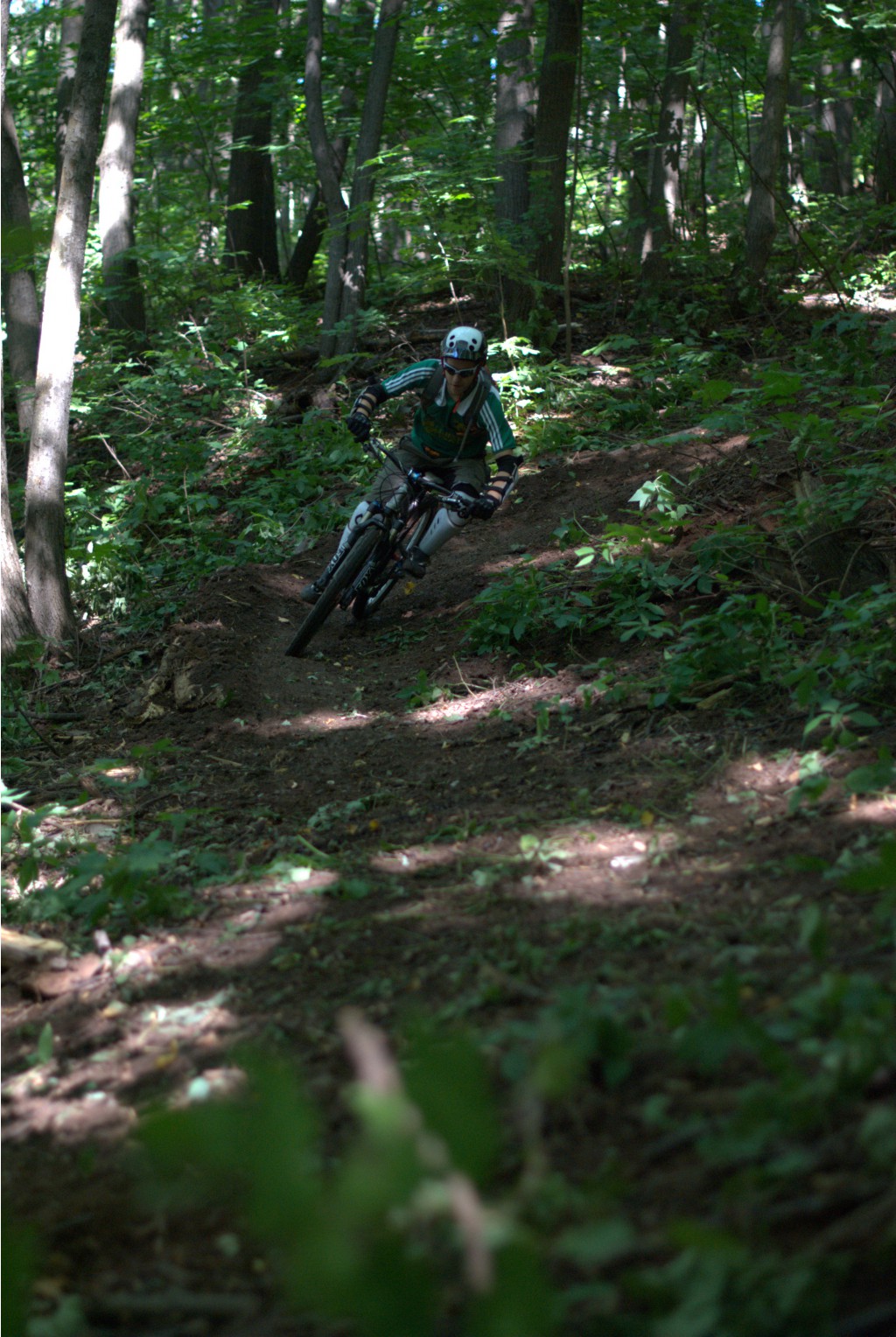 DSC_8756.jpg