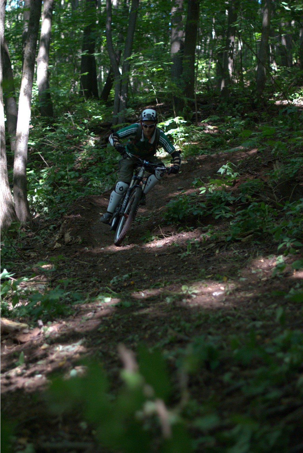 DSC_8757.jpg