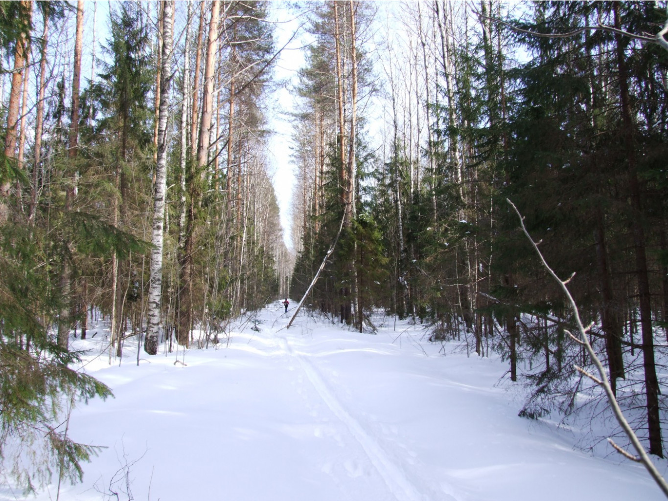 DSCF1671.JPG