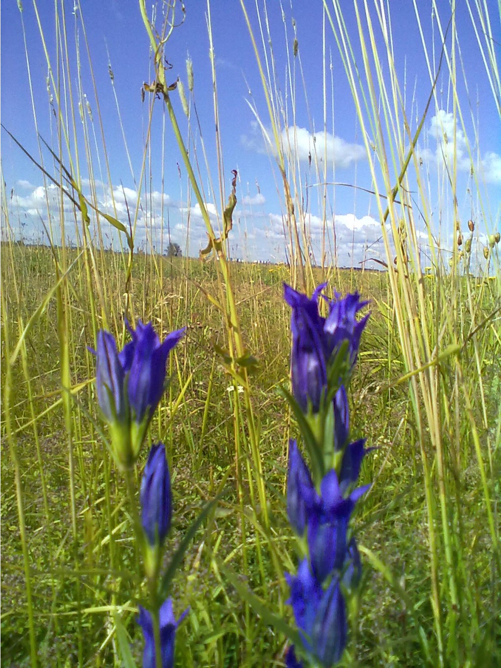 280720126345.jpg