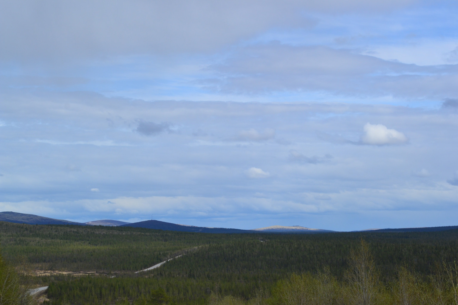 DSC_0202.JPG