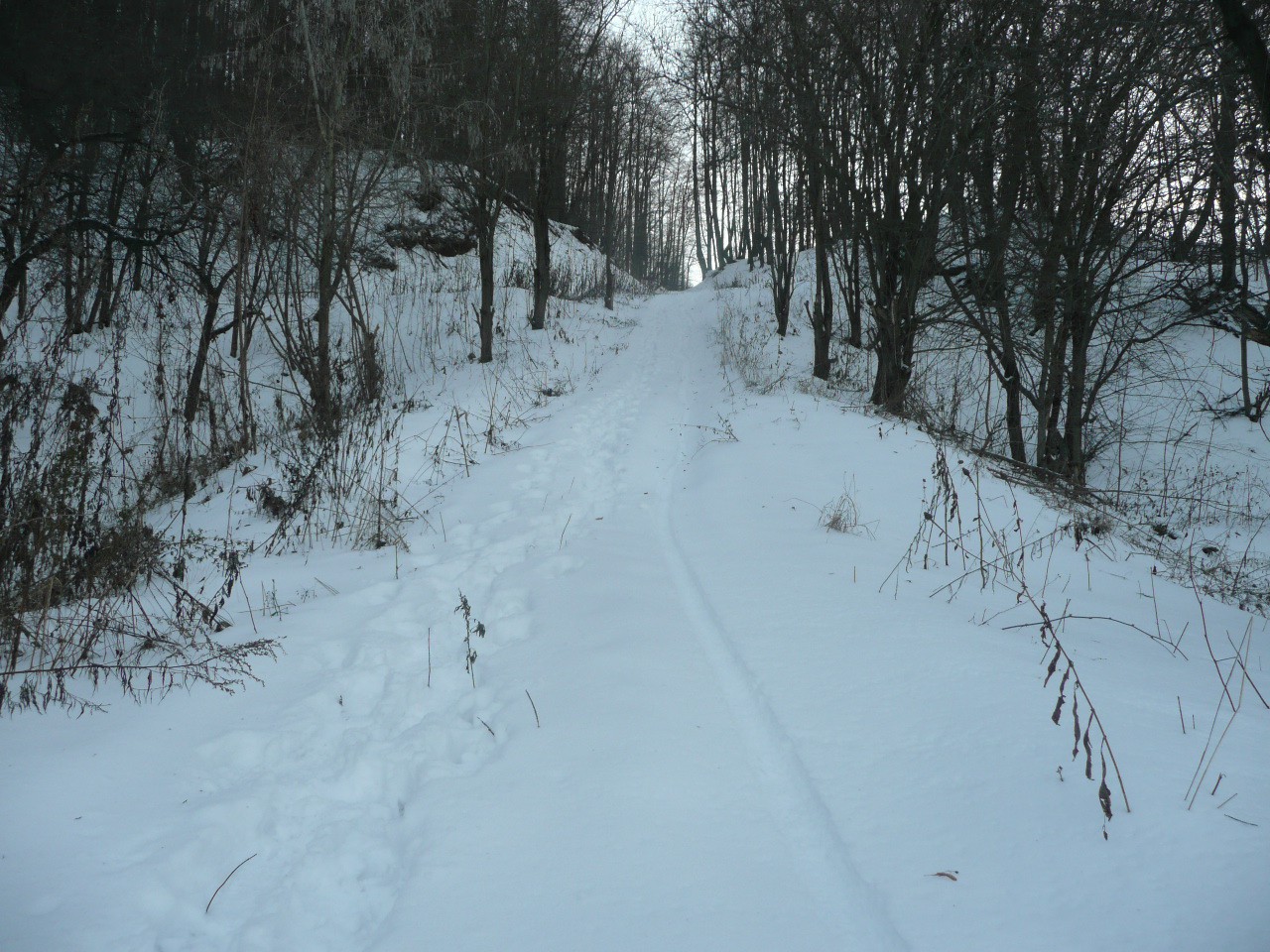 P1060333.JPG