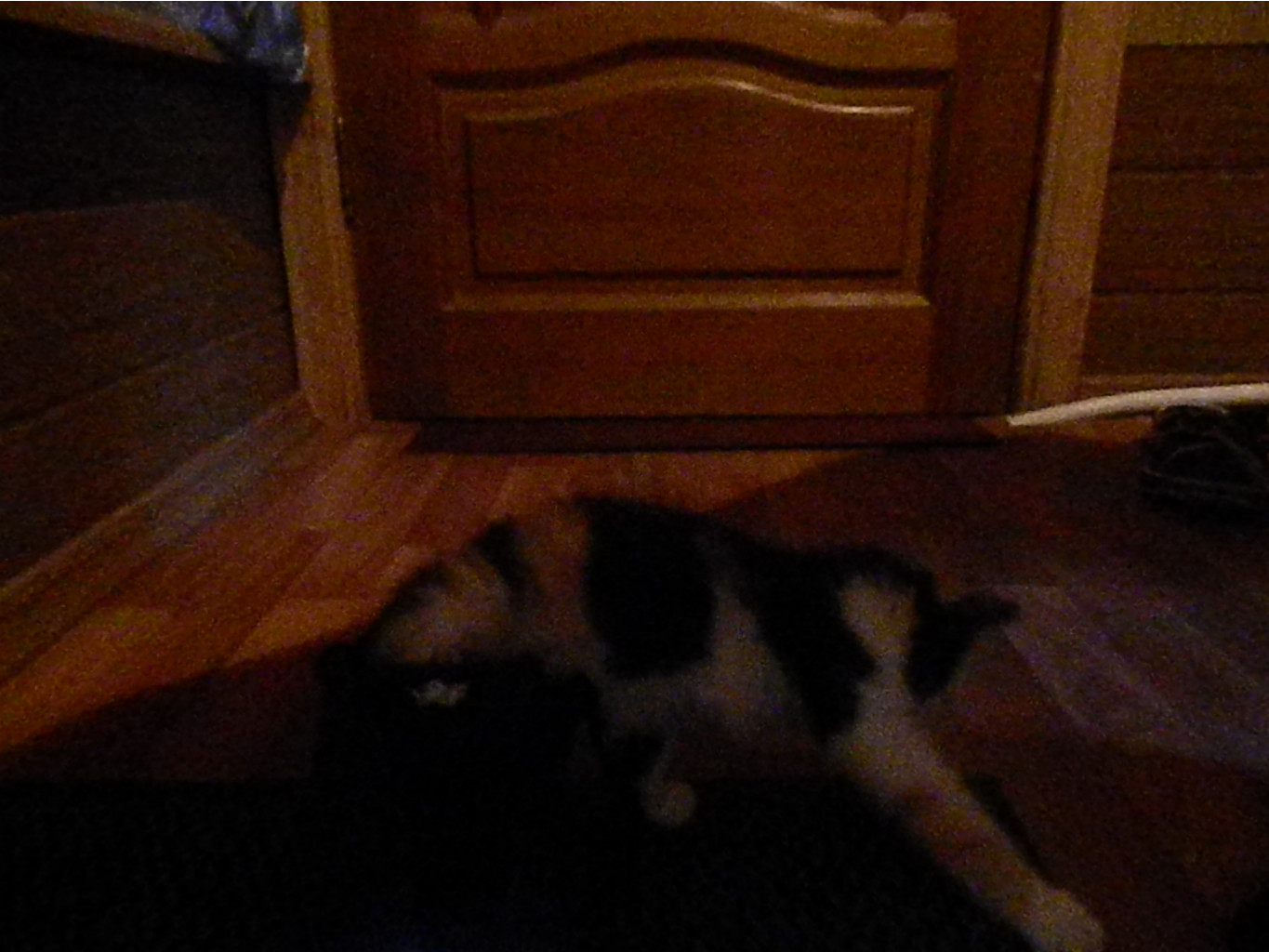 DSCN2644.JPG