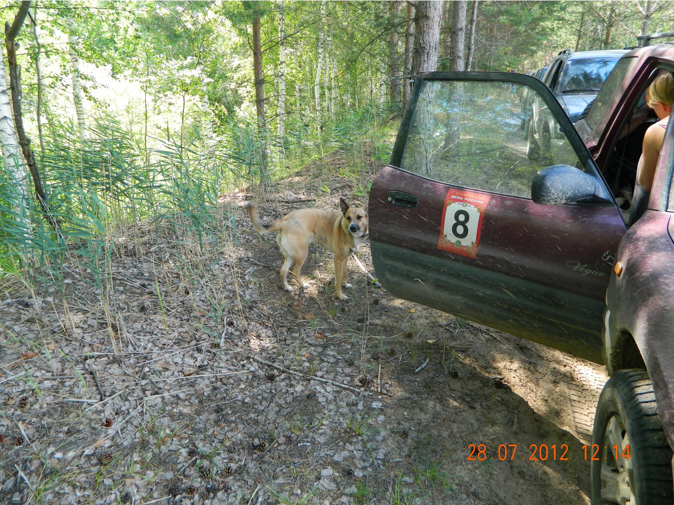 DSCN2649.JPG