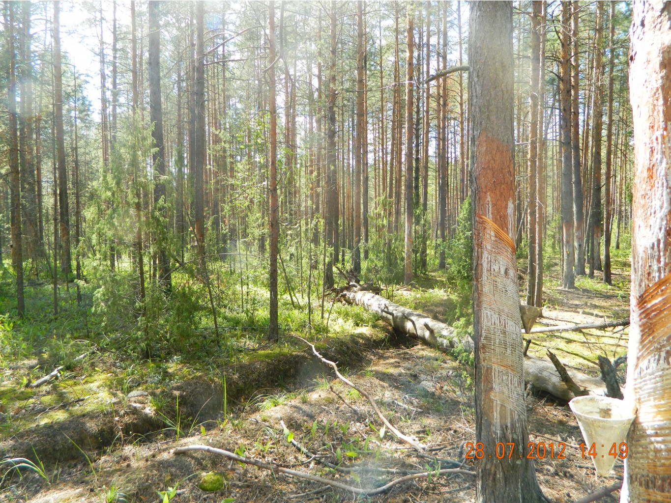 DSCN2709.JPG