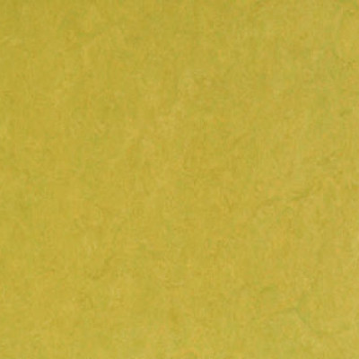 LIME.jpg
