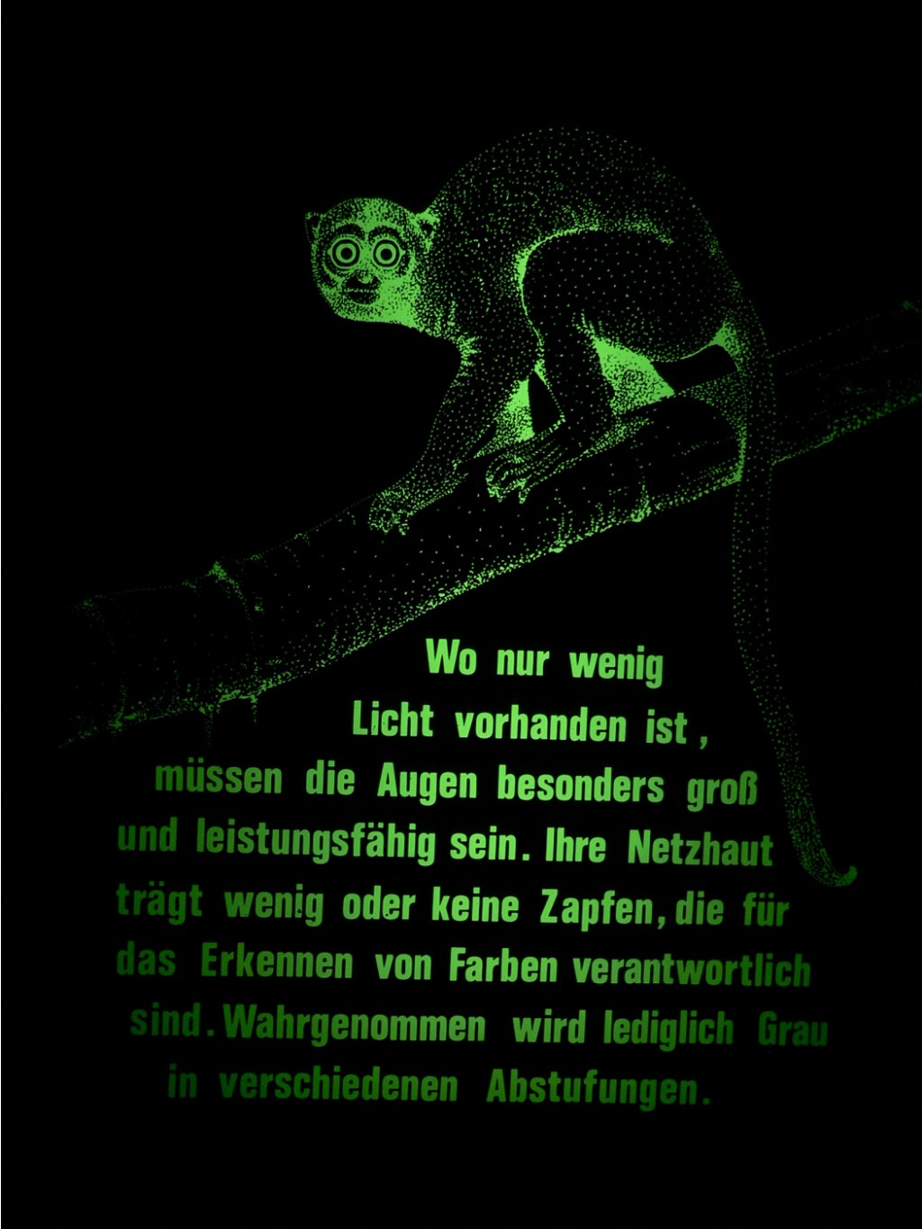 9_1_128.JPG