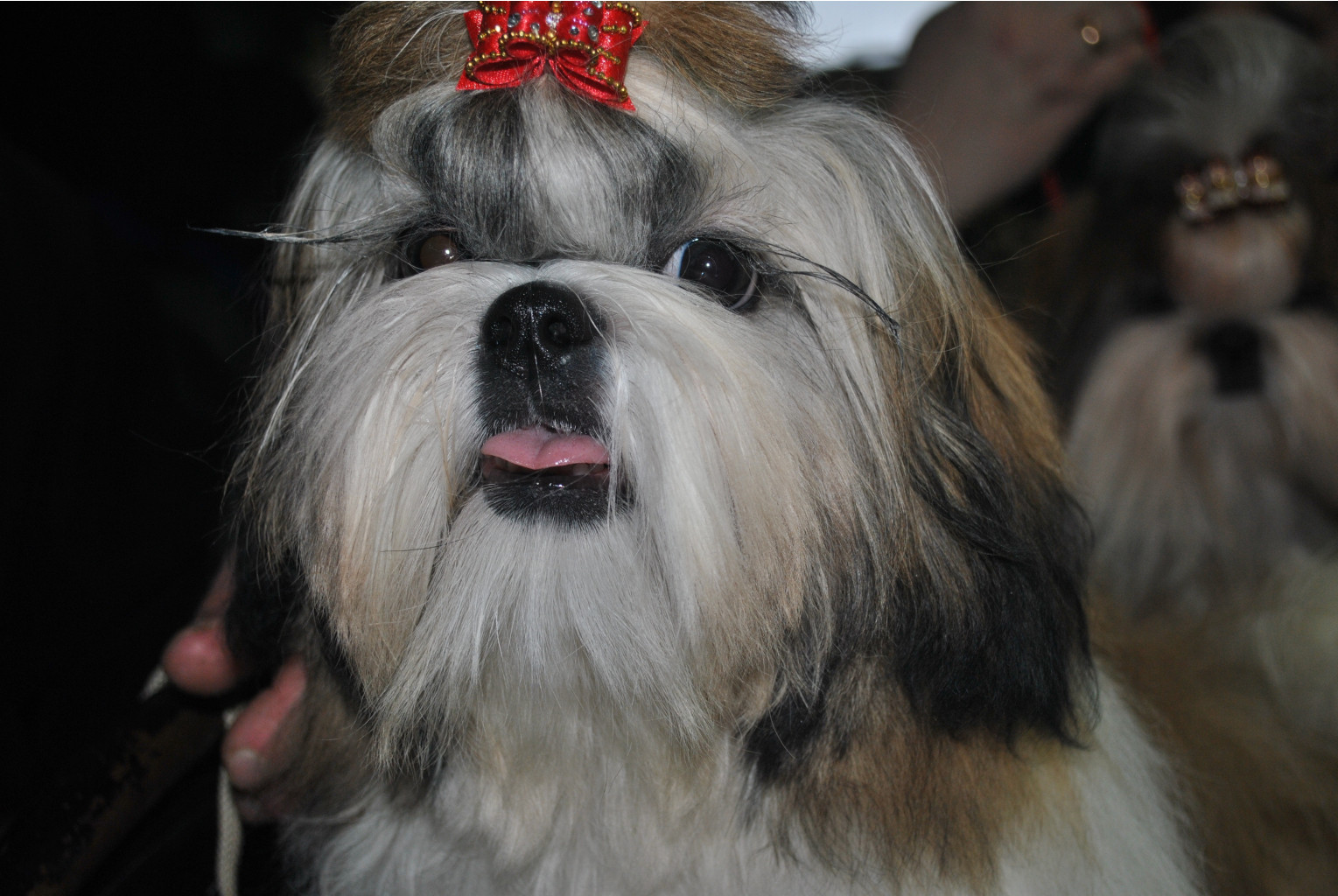 DSC_0378.JPG