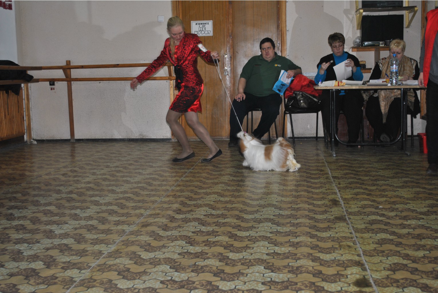 DSC_0421.JPG
