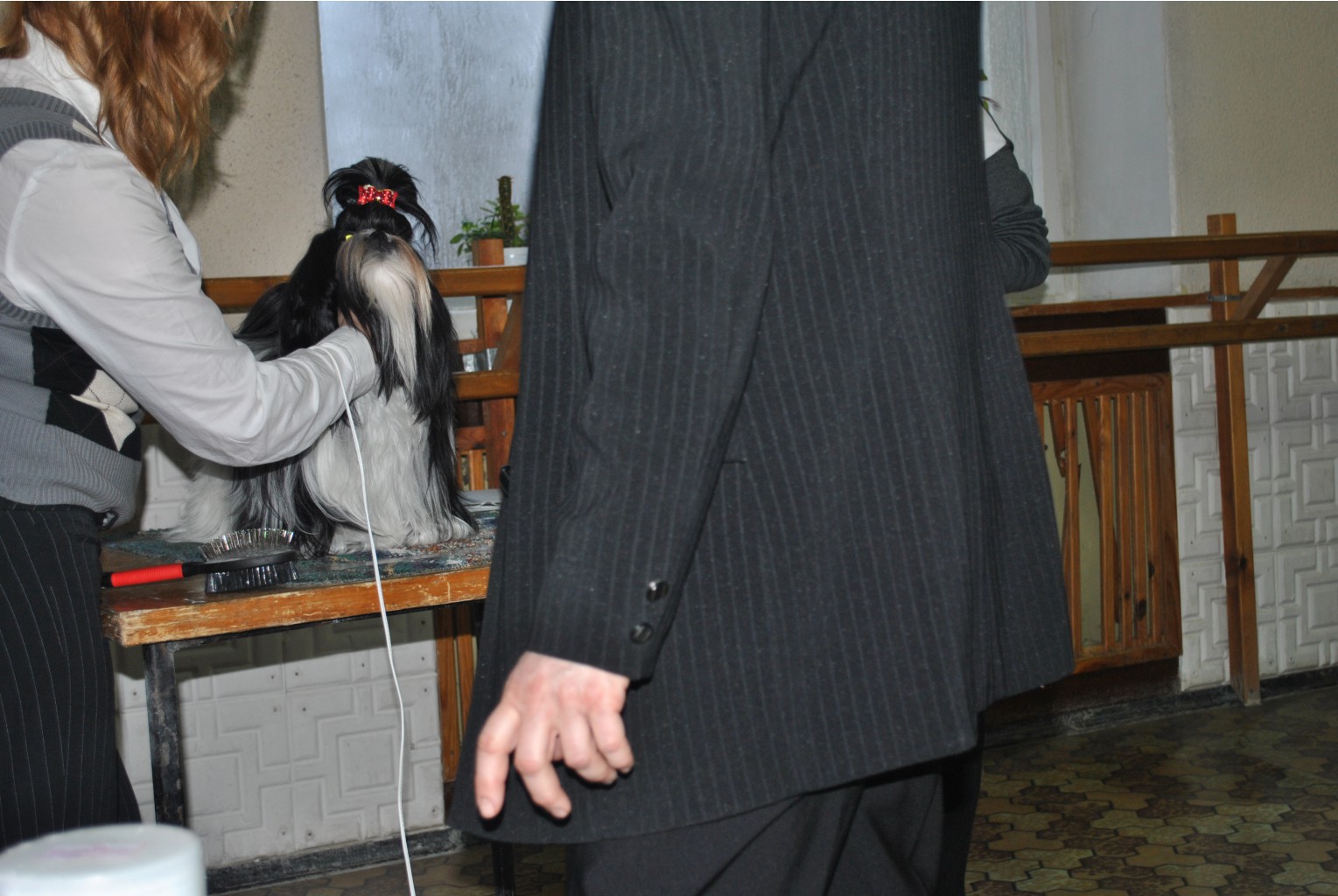 DSC_0427.JPG