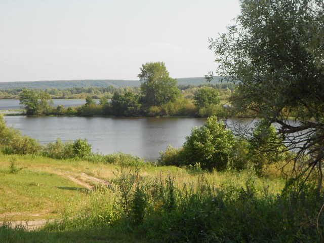 getImage (2).jpg