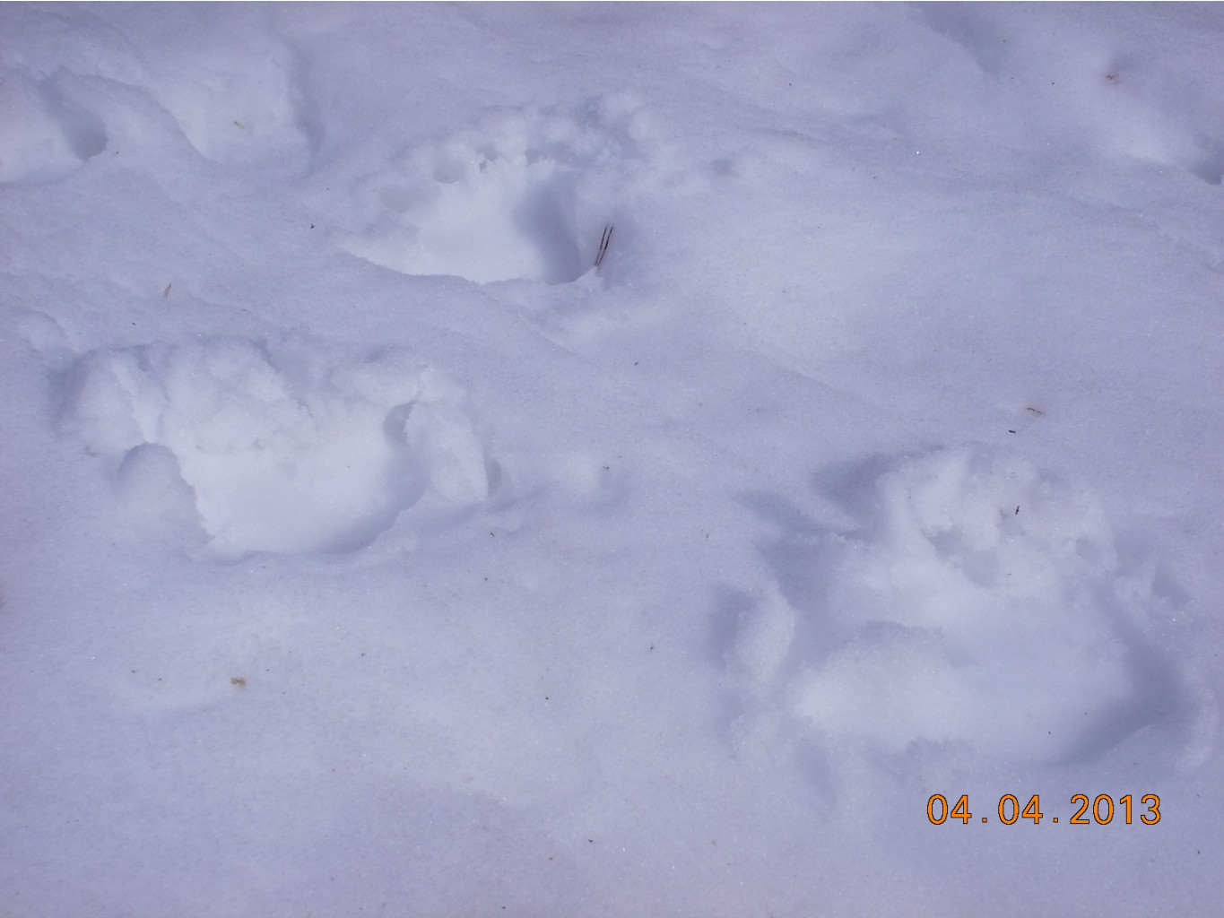 DSCN2103.JPG