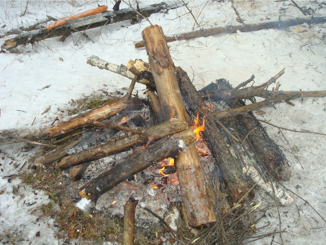 DSC09372.JPG
