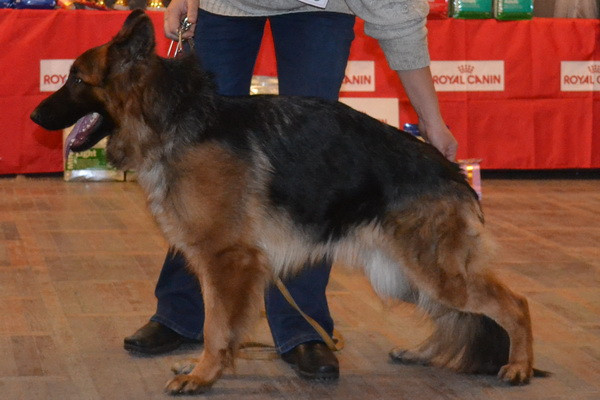 DSC_0583гр1.jpg