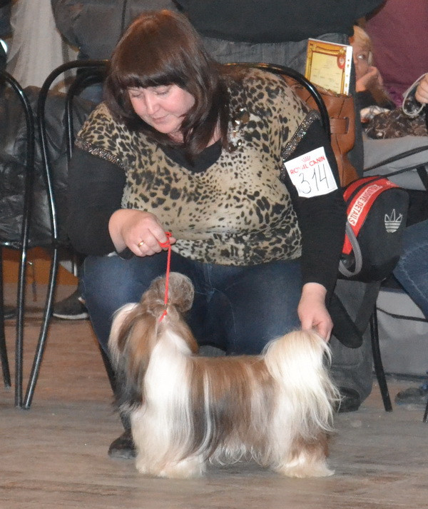 DSC_0675гр9.jpg