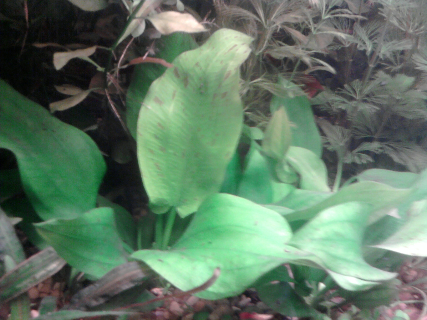 23.03.2010 10:34:07