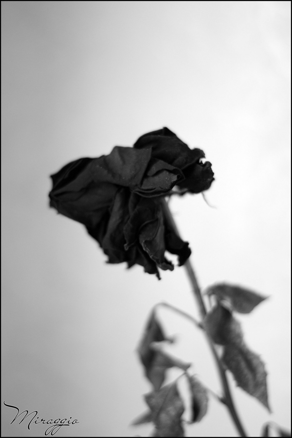 25.03.2010 20:16:44