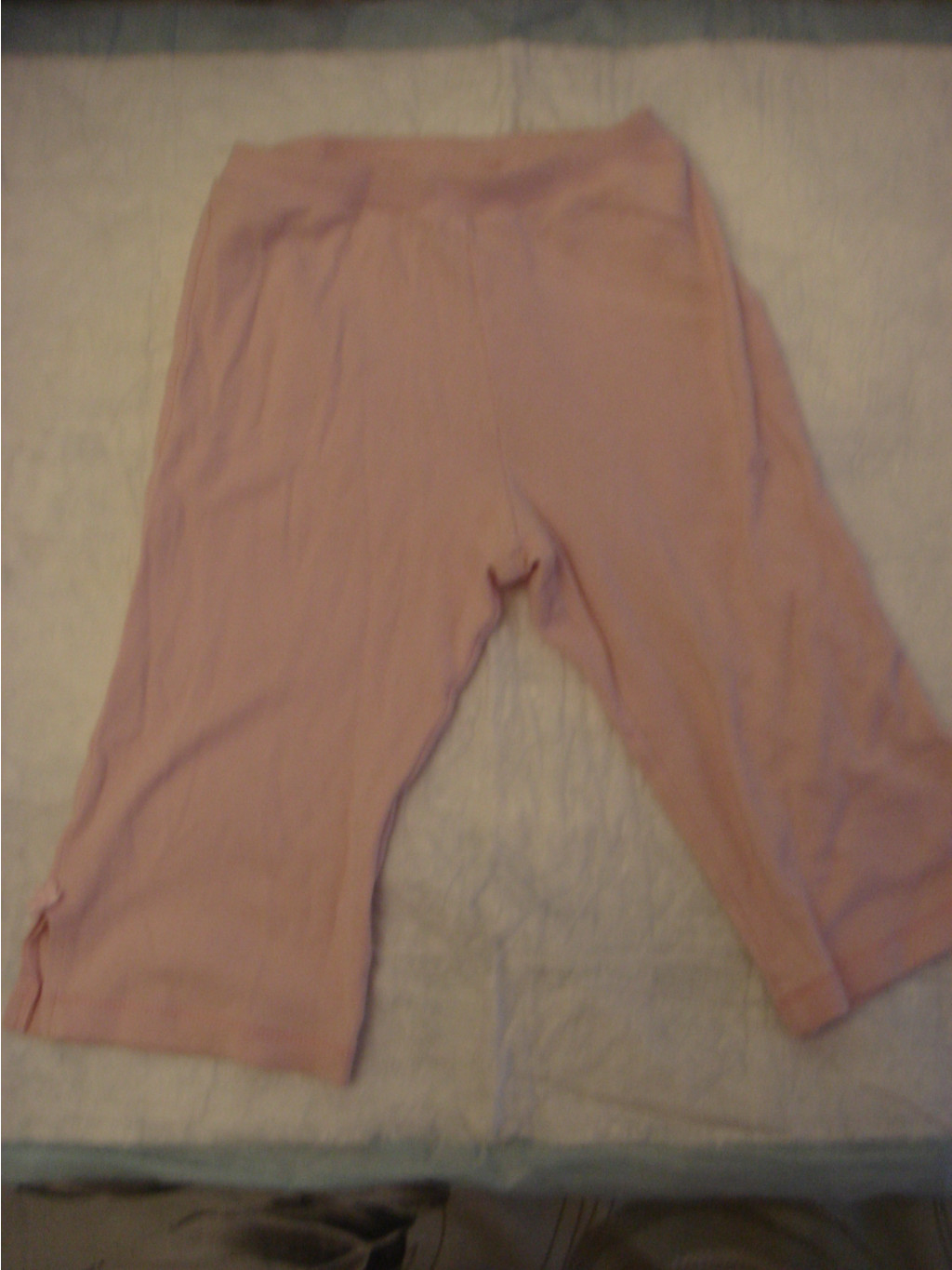 DSC08231.JPG