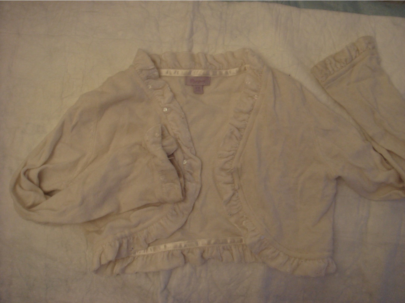 DSC08247.JPG