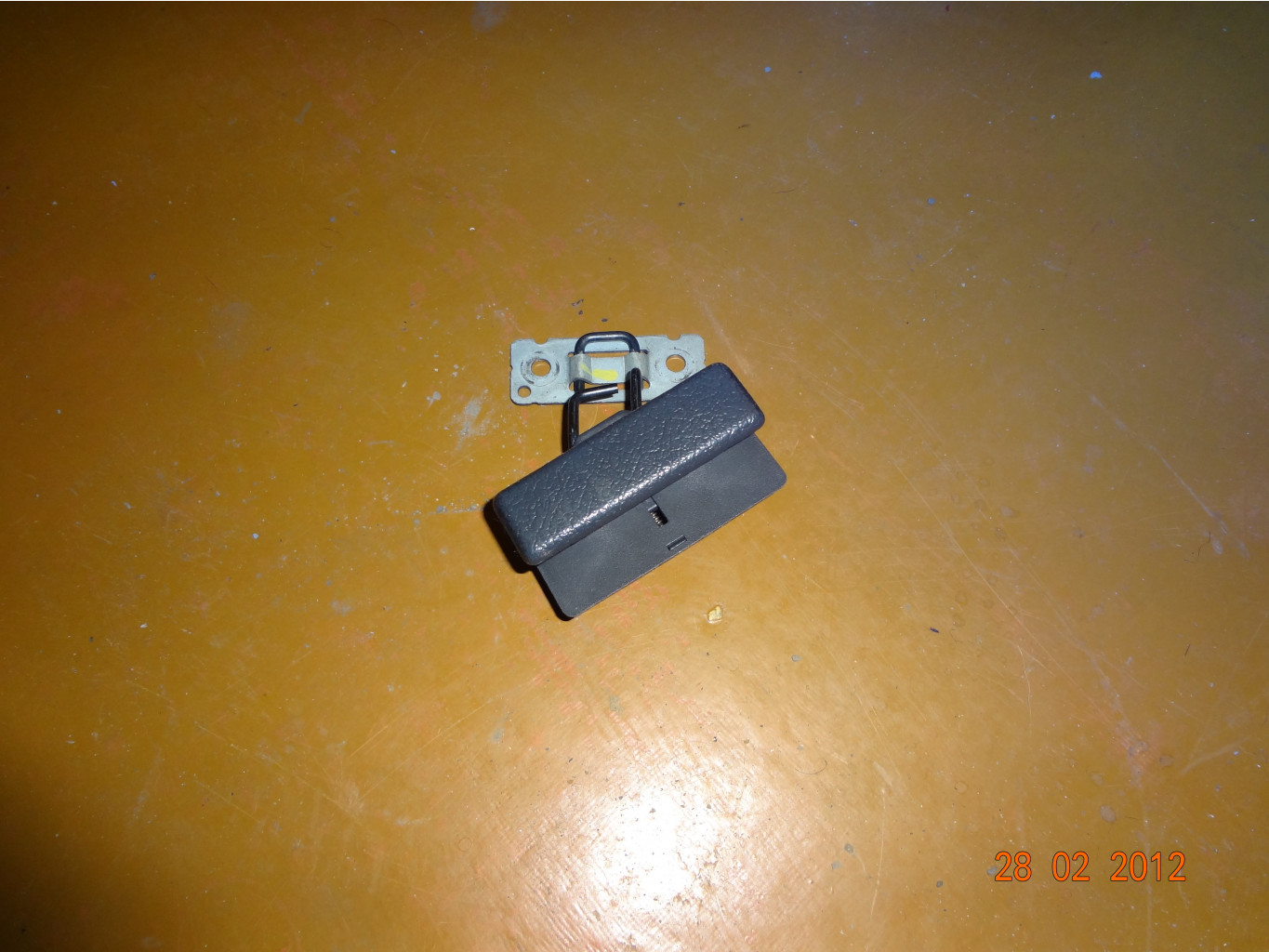 DSC00558.JPG