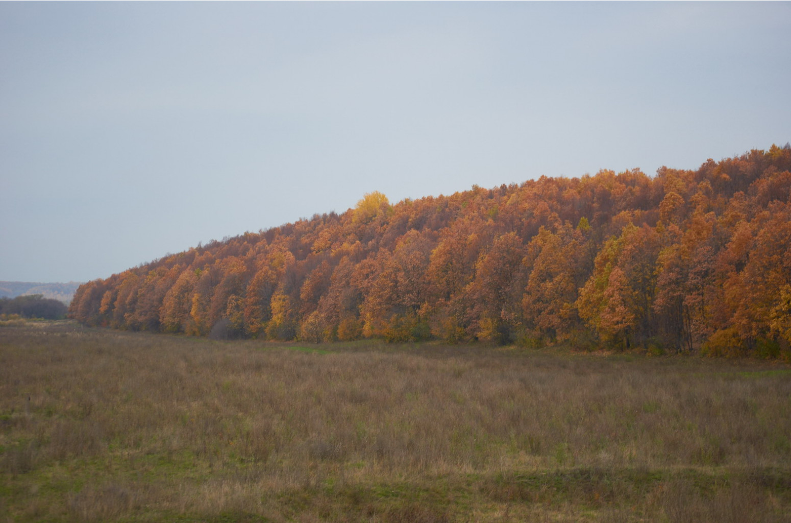 DSC_2292.jpg