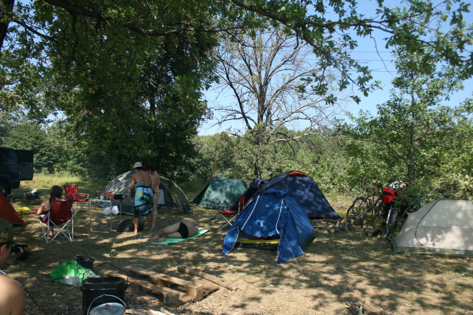 IMG_5287.jpg