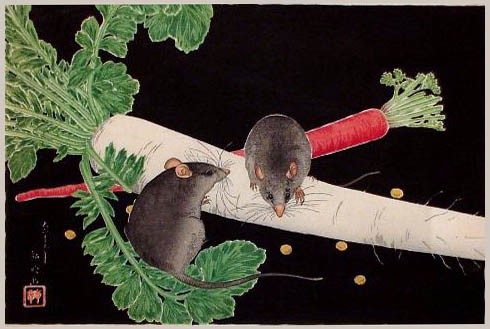 77451330_large_ratscarrot.jpg