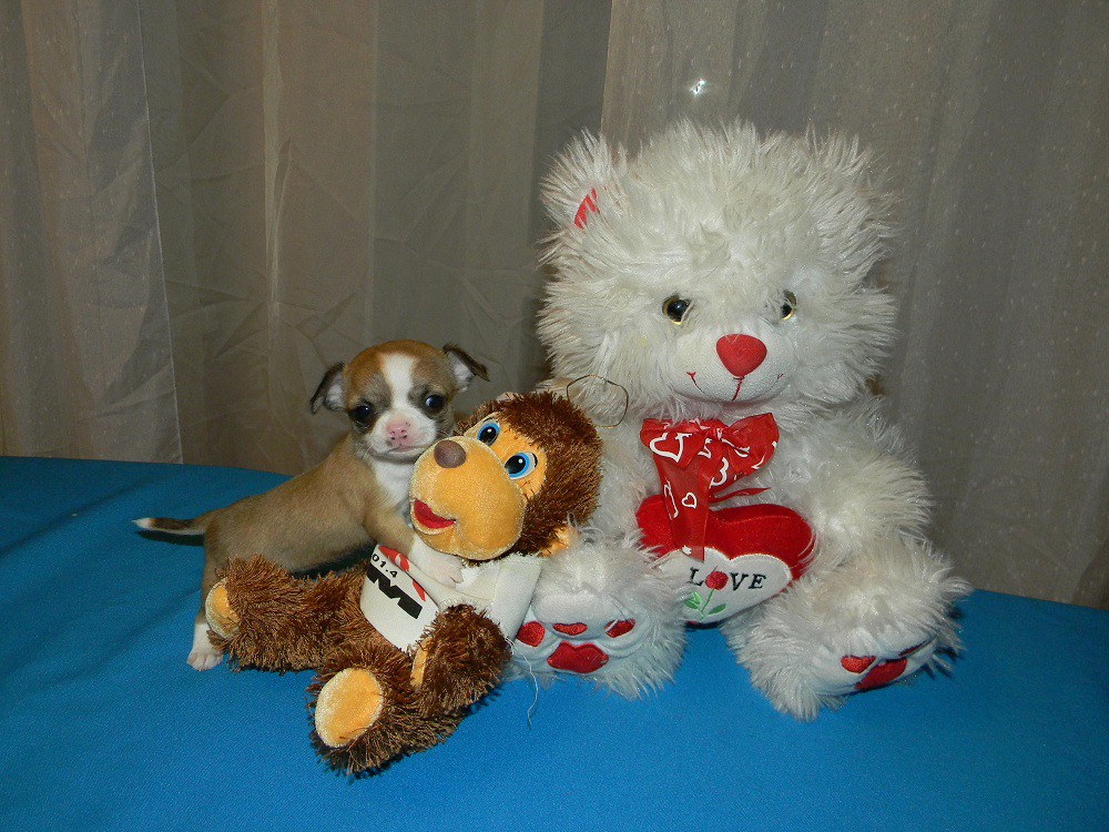 DSCN2775.JPG