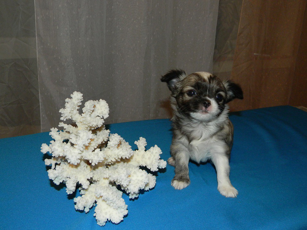 DSCN2787.JPG