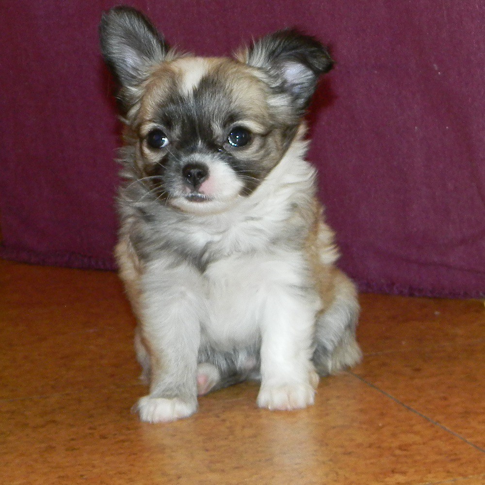 DSCN2824.JPG