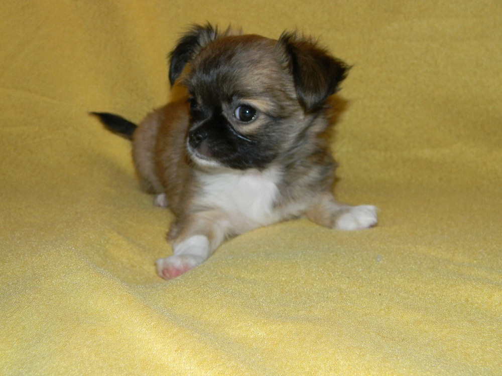 DSCN2878.JPG