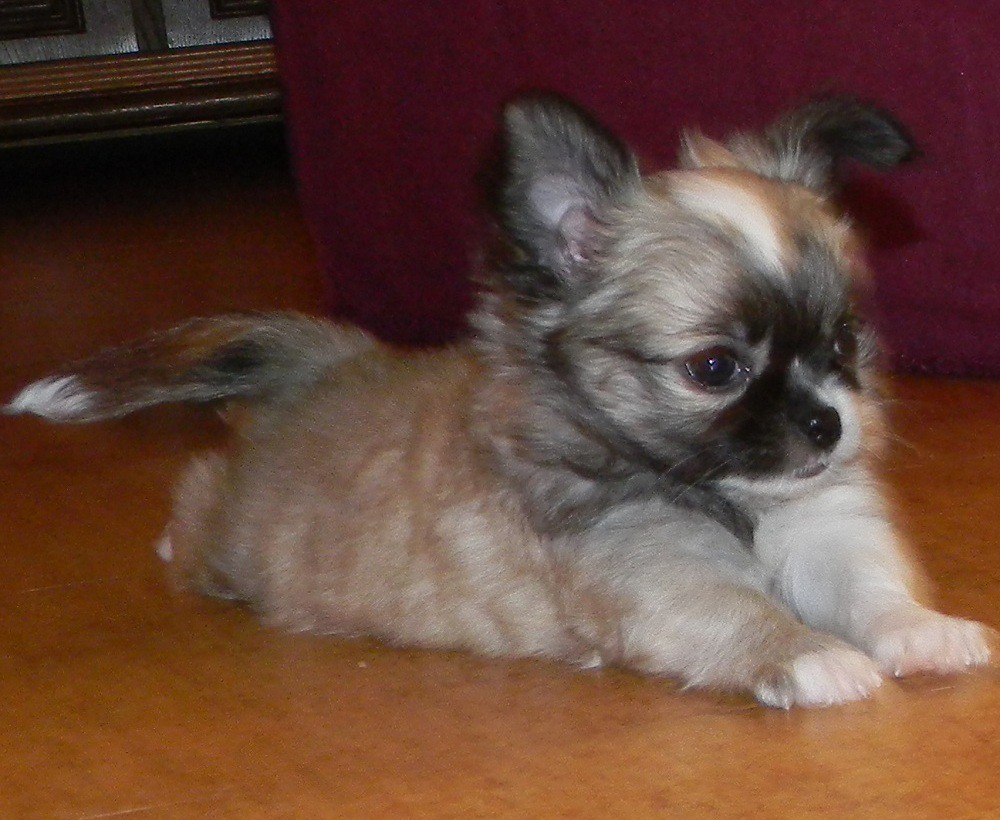 DSCN2817.JPG