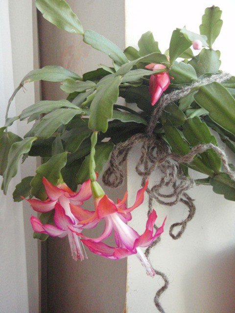 01.04.2010 22:39:32