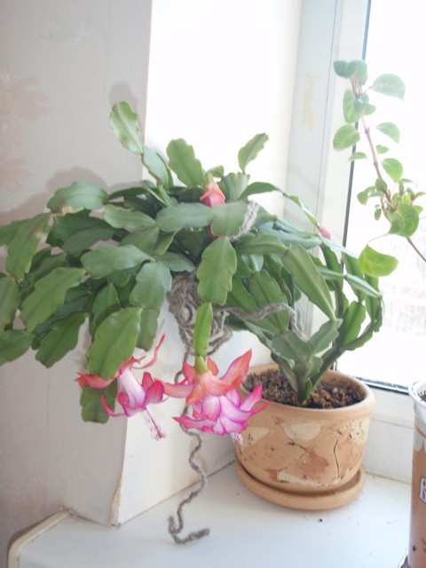 01.04.2010 22:39:35