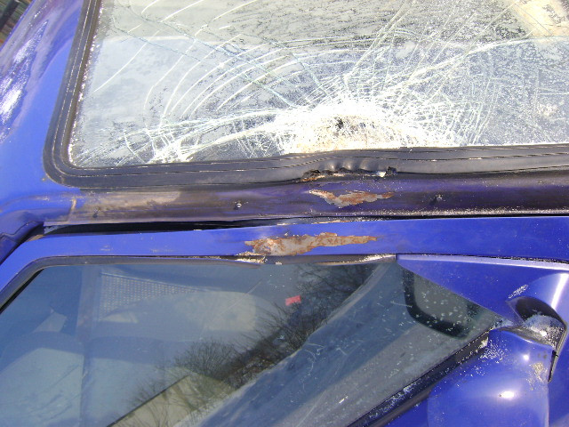 2 009.jpg