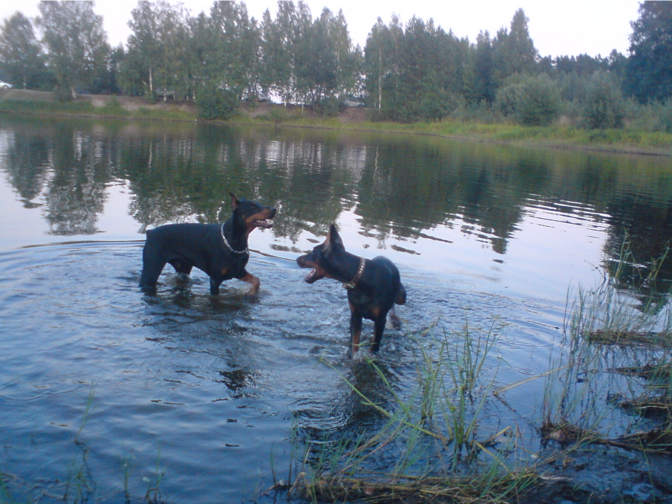 DSC02095.JPG