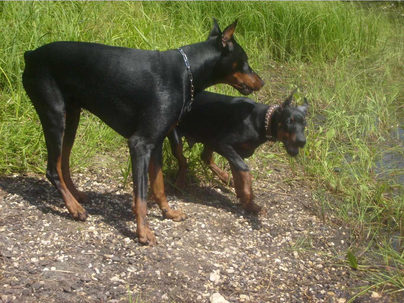 S6302166.JPG