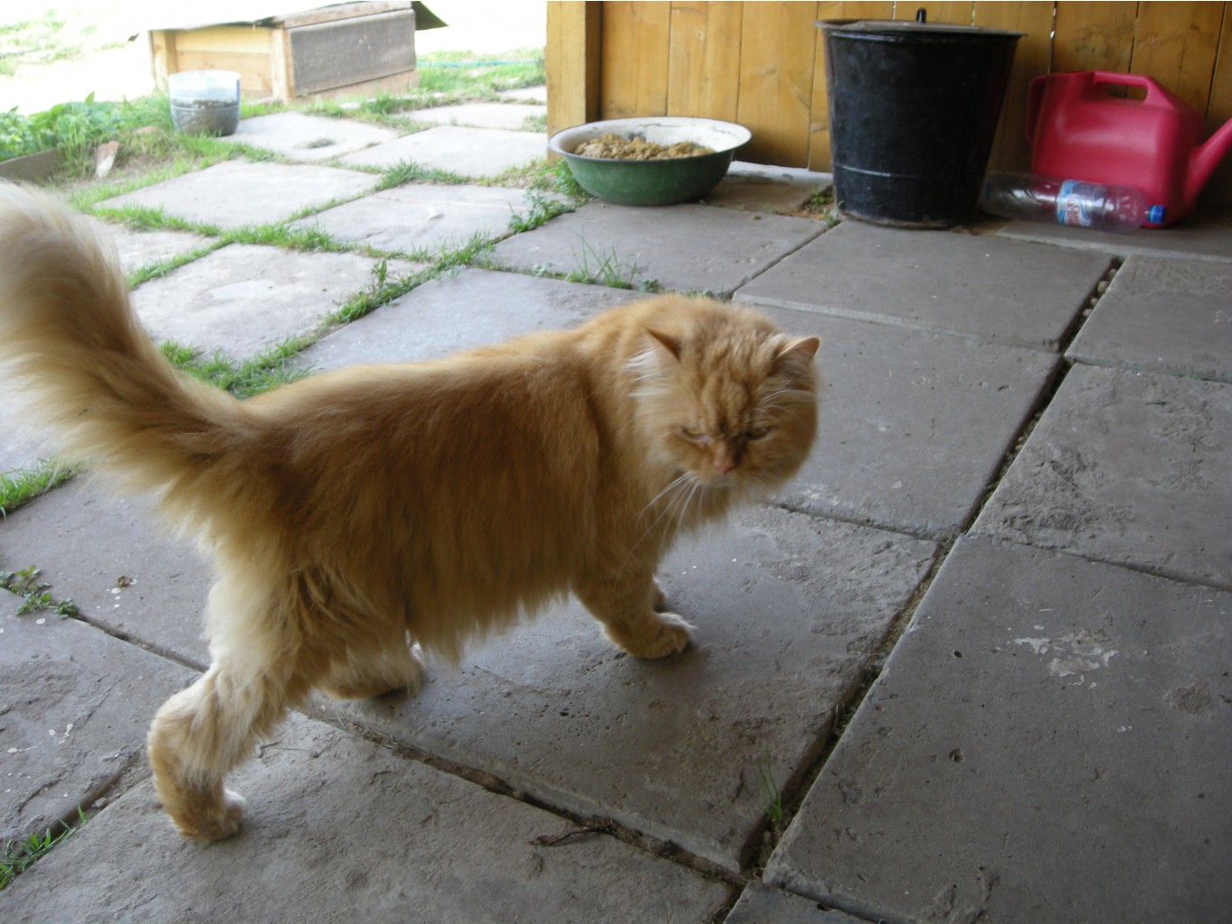 2012-07-14 08-52-14_0039.JPG