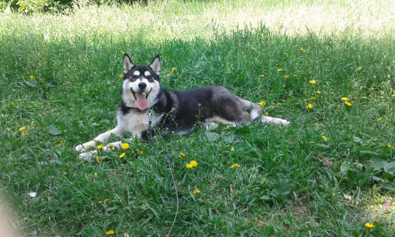 20140524_124956.jpg